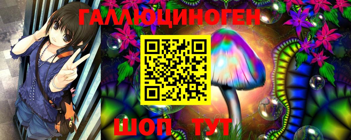 Галлюциногенные грибы Psilocybe Волжск